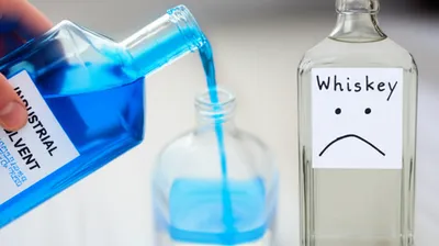 Illustration denature - Image 1