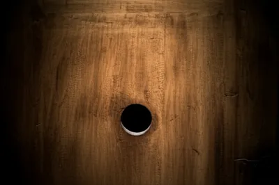 Illustration judas - Image 1