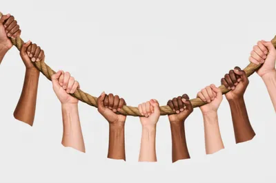 Illustration organize - Image 1