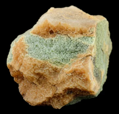 Illustration peach - Image 1