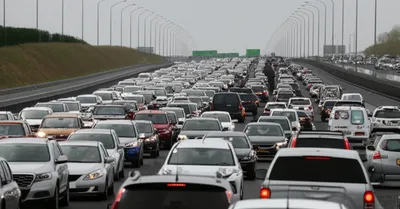 Illustration jams - Image 1