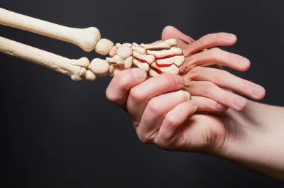 Illustration harm - Image 1