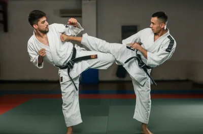 Illustration spars - Image 1