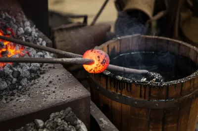 Illustration loggerheads - Image 1