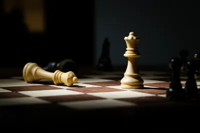 Illustration sacks - Image 1