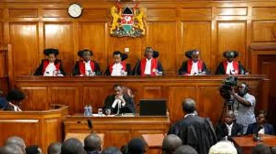 Illustration forensic - Image 2