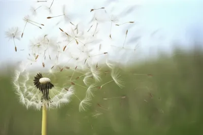 Illustration disperse - Image 1