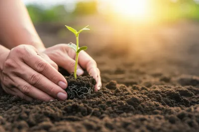 Illustration induct - Image 1