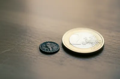 Illustration mite - Image 1