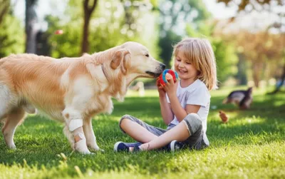 Illustration salted - Image 1