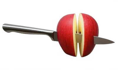 Illustration dividing - Image 1