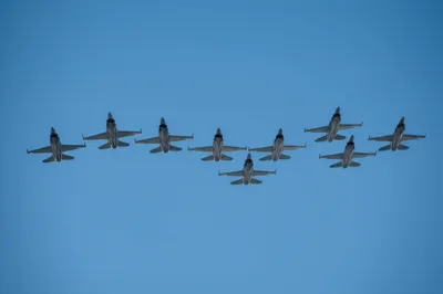 Illustration groups - Image 1