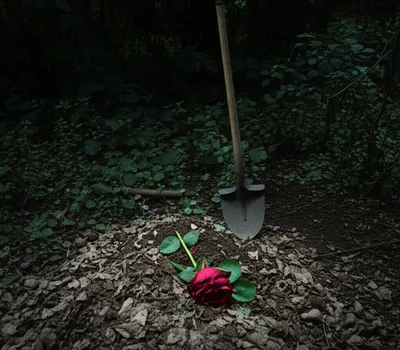 Illustration buried - Image 1