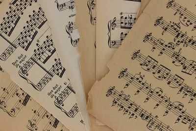 Illustration notations - Image 2