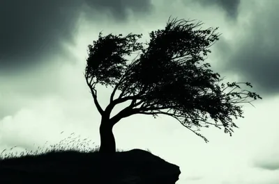 Illustration nerve - Image 1