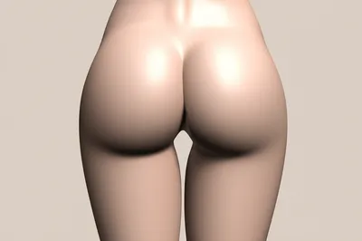 Illustration asses - Image 1