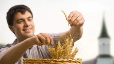 Illustration tithe - Image 1