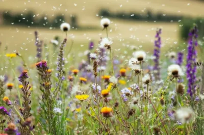 Illustration volunteer - Image 1