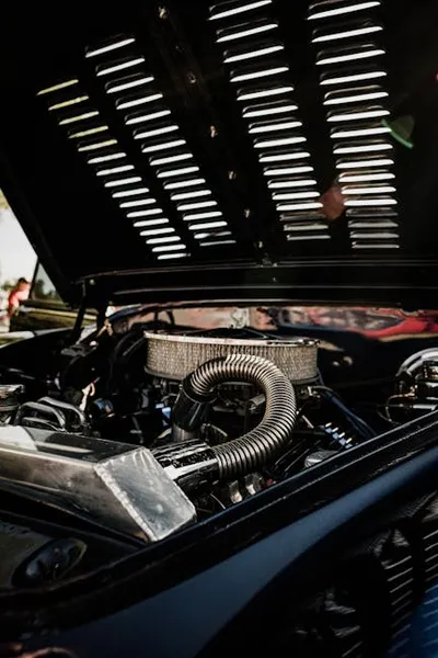 Illustration differential - Image 2