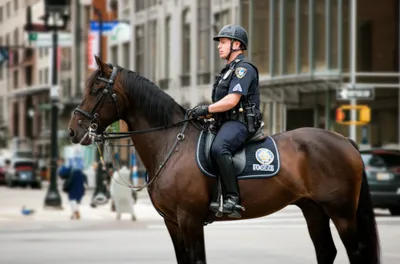 Illustration troopers - Image 1