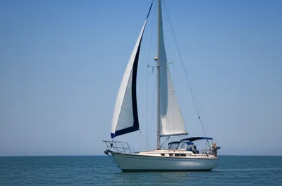 Illustration luffs - Image 1