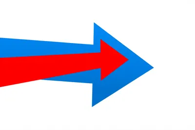 Illustration catch - Image 1