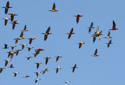 Illustration trended - Image 1