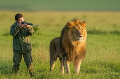 Illustration darting - Image 1