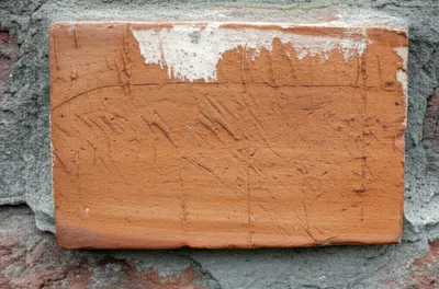 Illustration parietals - Image 1