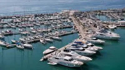 Illustration marina - Image 2