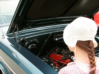 Illustration bonnet - Image 1