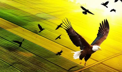 Illustration advantages - Image 1