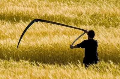 Illustration scythe - Image 1