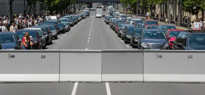 Illustration seals - Image 1