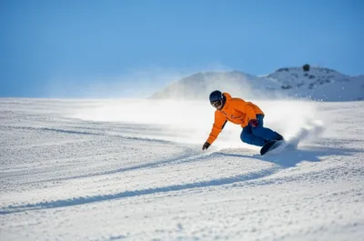 Illustration carves - Image 1