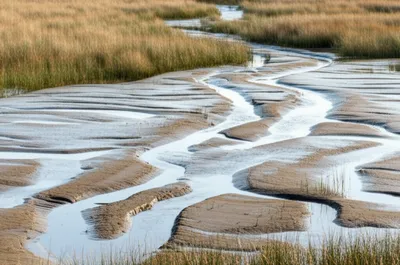 Illustration slacks - Image 1