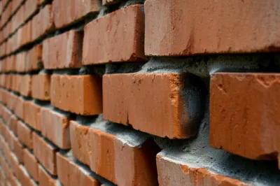 Illustration protrusions - Image 1