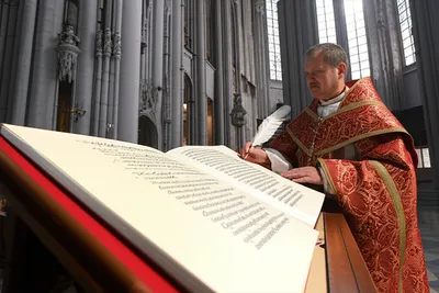 Illustration canon - Image 1