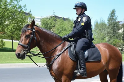 Illustration trooper - Image 1