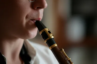 Illustration embouchures