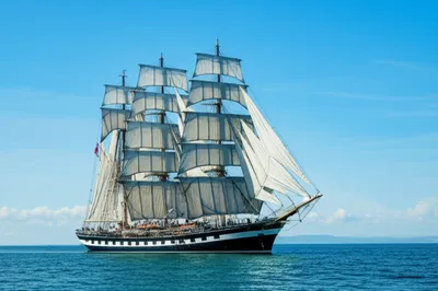 Illustration royal - Image 1