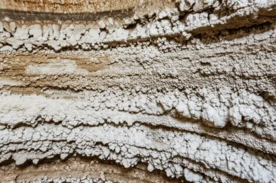 Illustration encrustation - Image 1