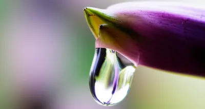 Illustration pre - Image 1