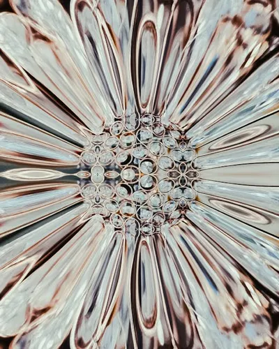 Illustration proportioned - Image 2