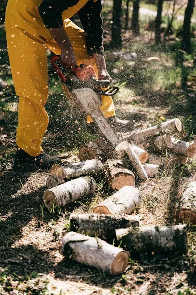 Illustration woodcutter - Image 2