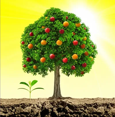 Illustration optimizes - Image 1