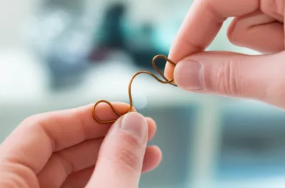 Illustration loops - Image 1