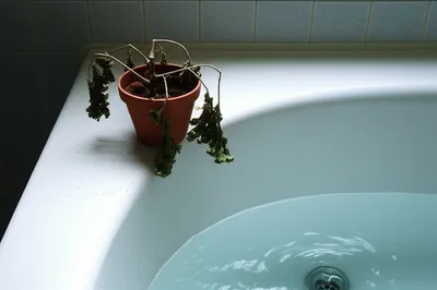 Illustration draining - Image 1