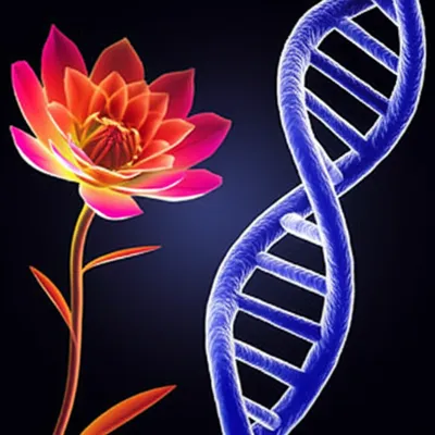 Illustration connoted - Image 1