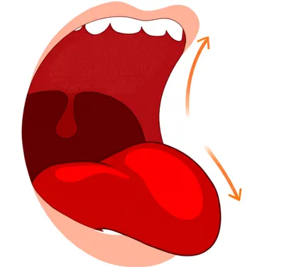 Illustration retroflex - Image 1